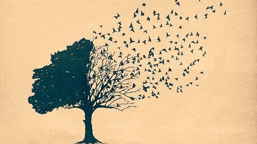 Ignorantes voluntários