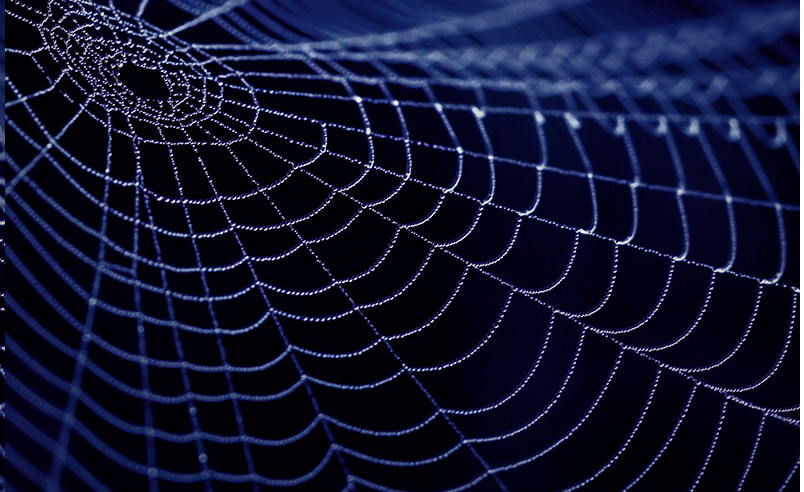 “Eu não tenho medo da fama, eu tenho medo é de acreditar nela”.