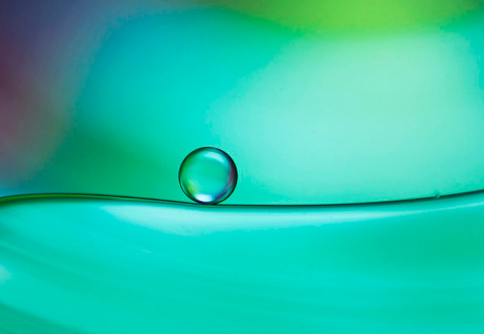 “Quanto mais eu vivo, mais duvido de que tornar-se um idiota seja uma questão de escolha”.