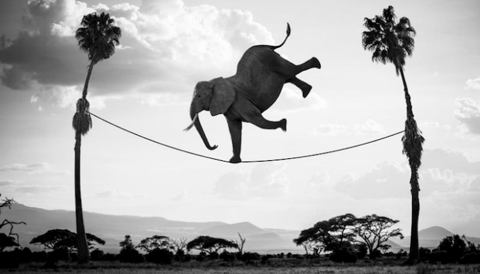 “Nem culpados, nem inocentes, somos sobreviventes”.